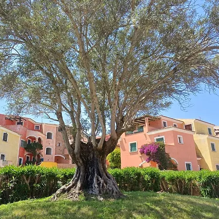 Casa Ginevra * Santa Teresa Gallura